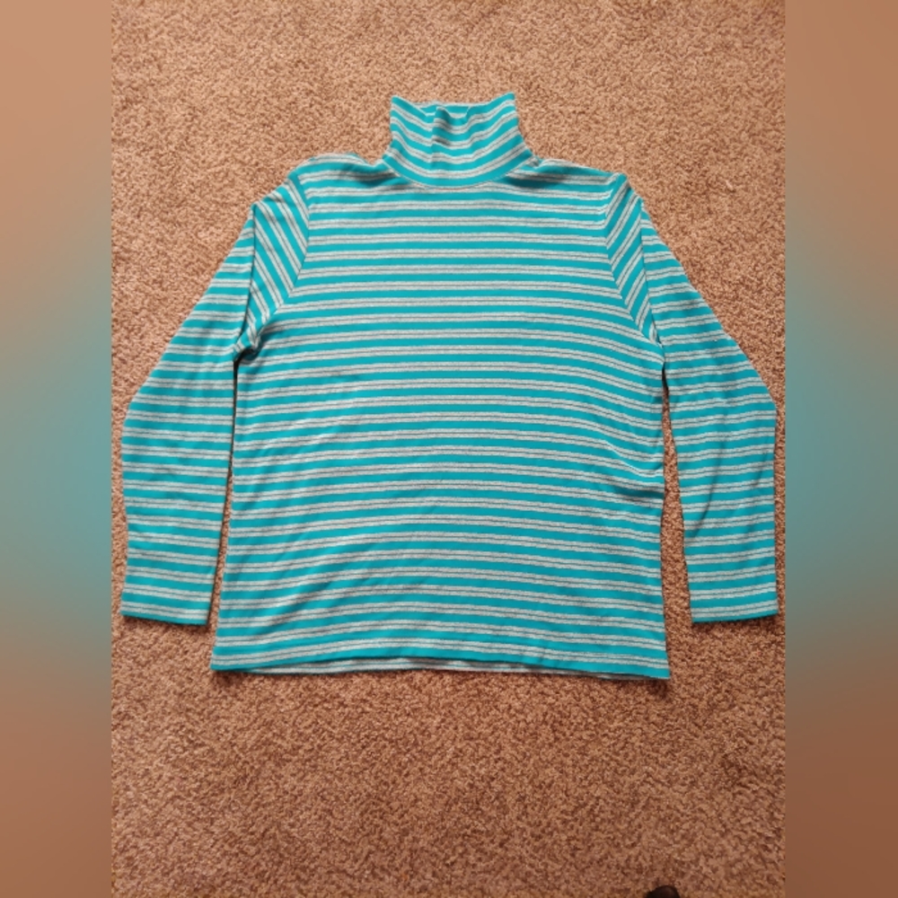 Kim Rogers Blue&Grey Striped Turtle Neck Long Sleeve Shirt